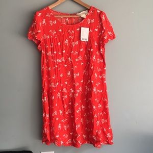 NWT Coincidence Chance squirrel dress large Cute!